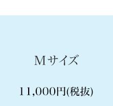 Mサイズ　11,000円(税抜)
