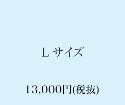 Lサイズ　13,000円(税抜)
